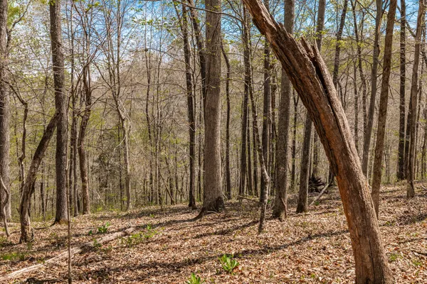 $399,900 | 0 Mound Creek Road, Kingston Springs, TN 37082