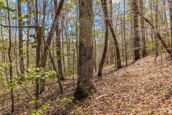 $399,900 | 0 Mound Creek Road, Kingston Springs, TN 37082