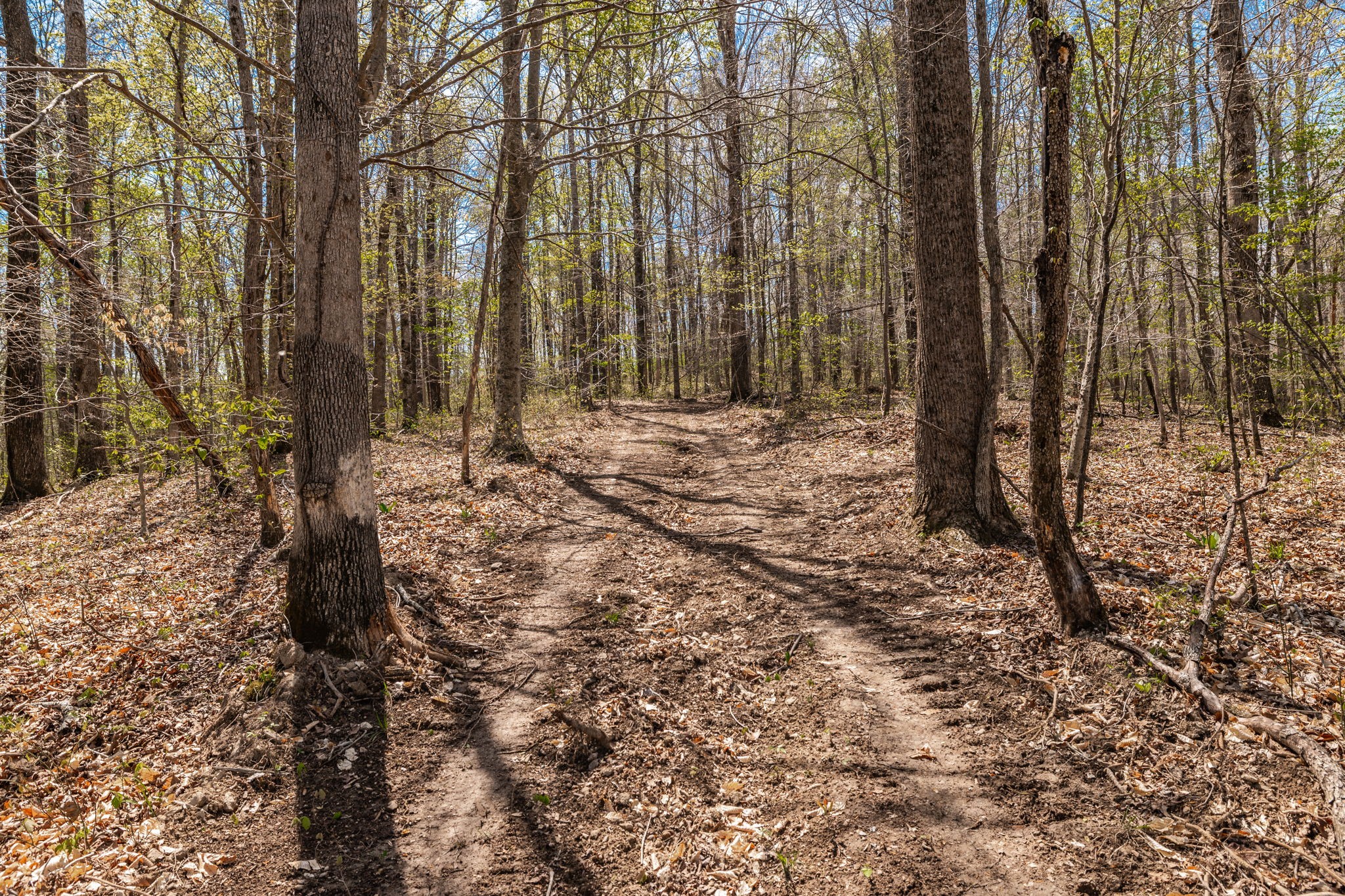 0 Mound Creek Road Kingston Springs, TN 37082 - Photo 26 of 97