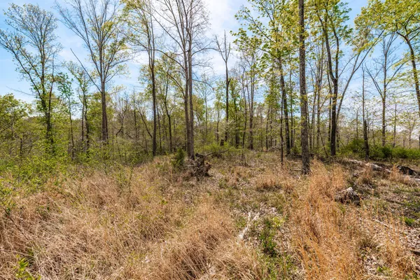 $399,900 | 0 Mound Creek Road, Kingston Springs, TN 37082