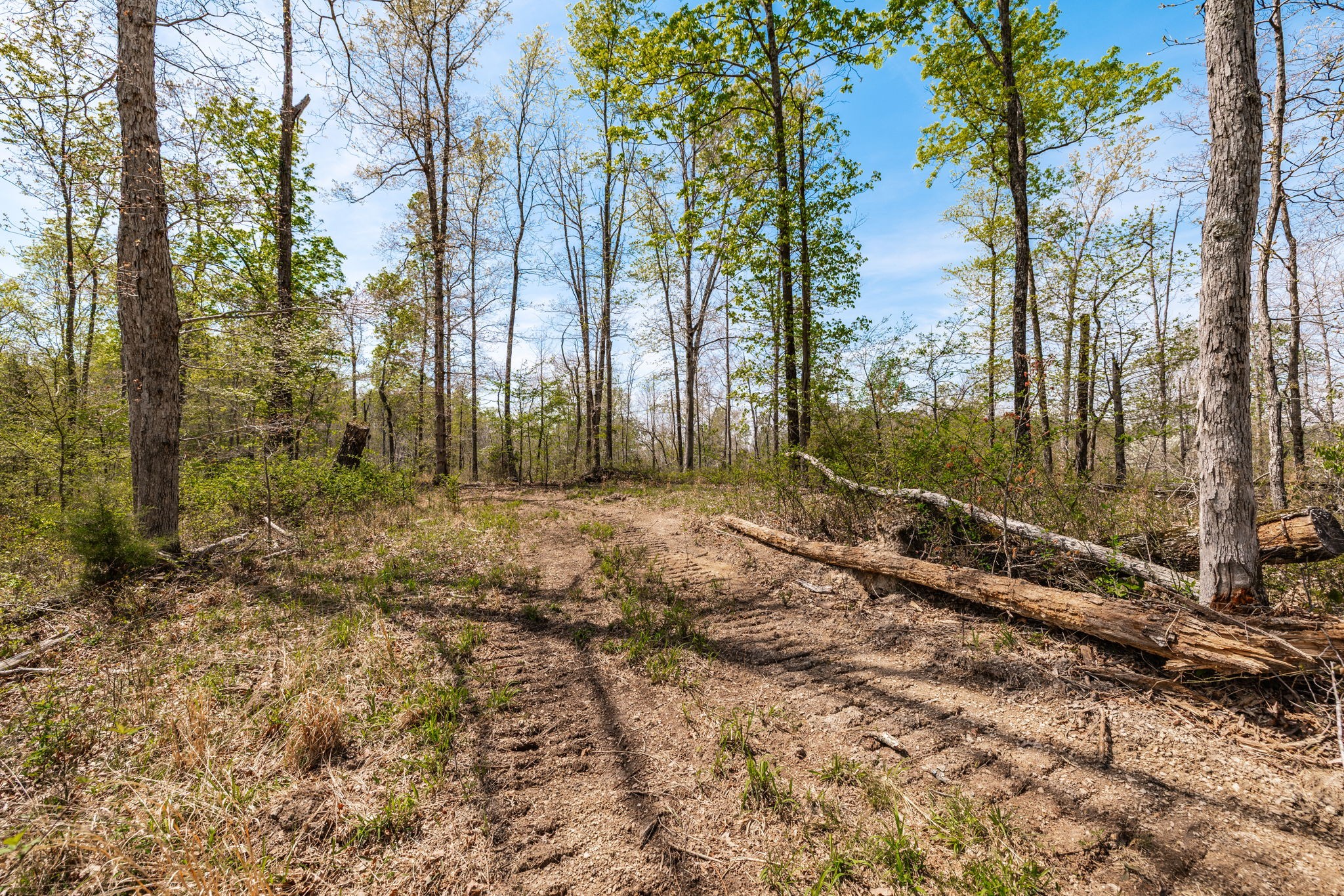 0 Mound Creek Road Kingston Springs, TN 37082 - Photo 35 of 97