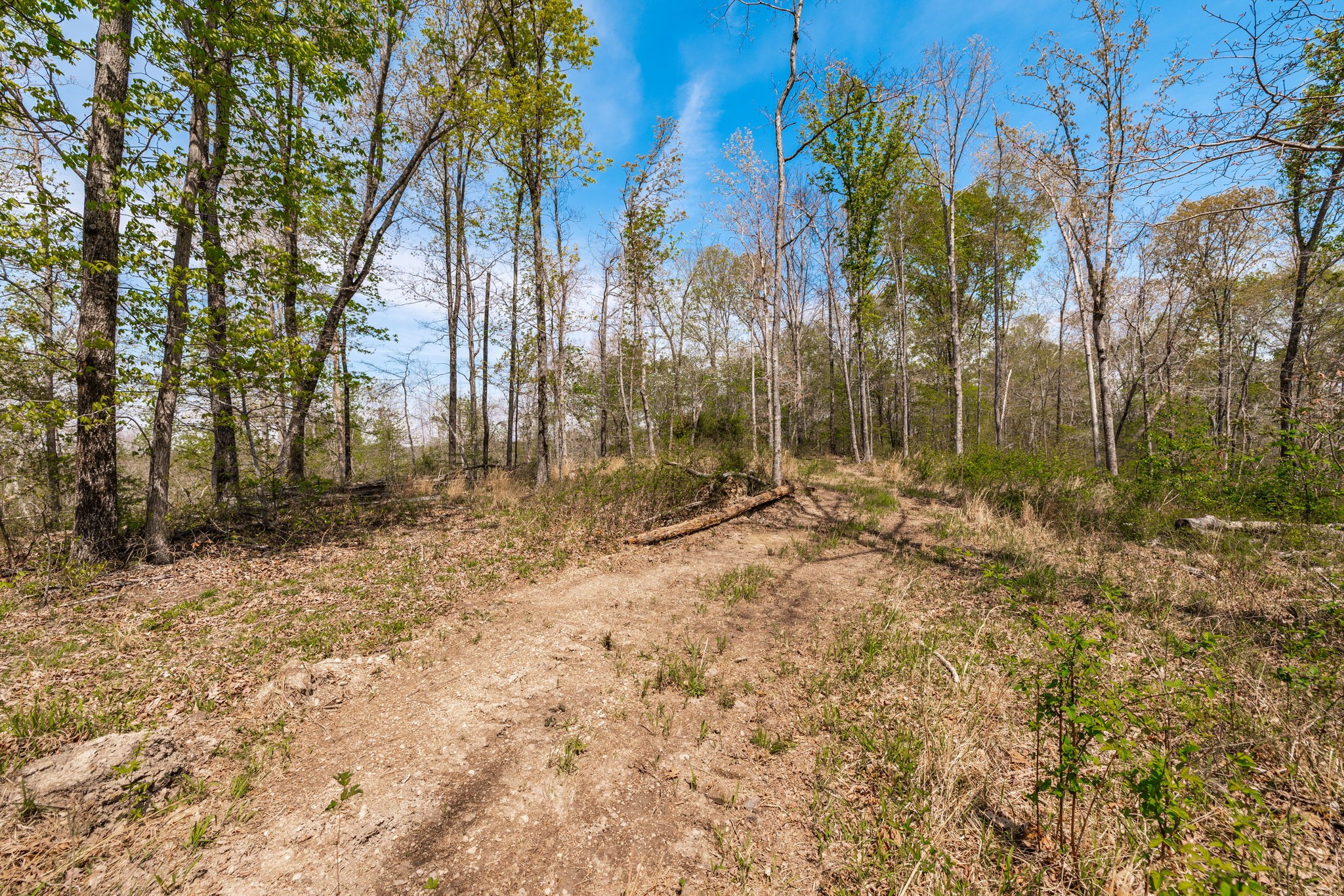 0 Mound Creek Road Kingston Springs, TN 37082 - Photo 36 of 97 a view of outdoor space with trees