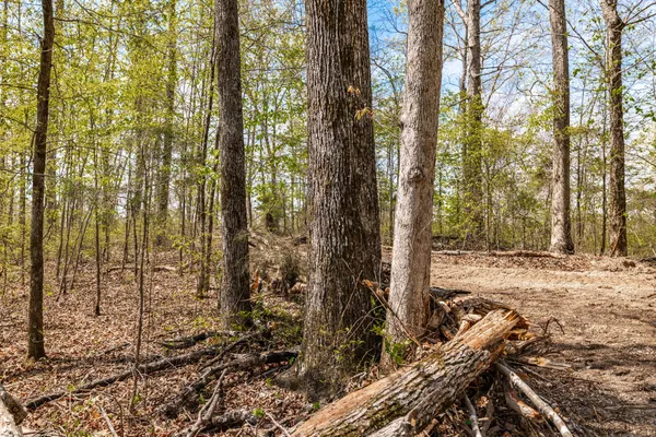 $399,900 | 0 Mound Creek Road, Kingston Springs, TN 37082