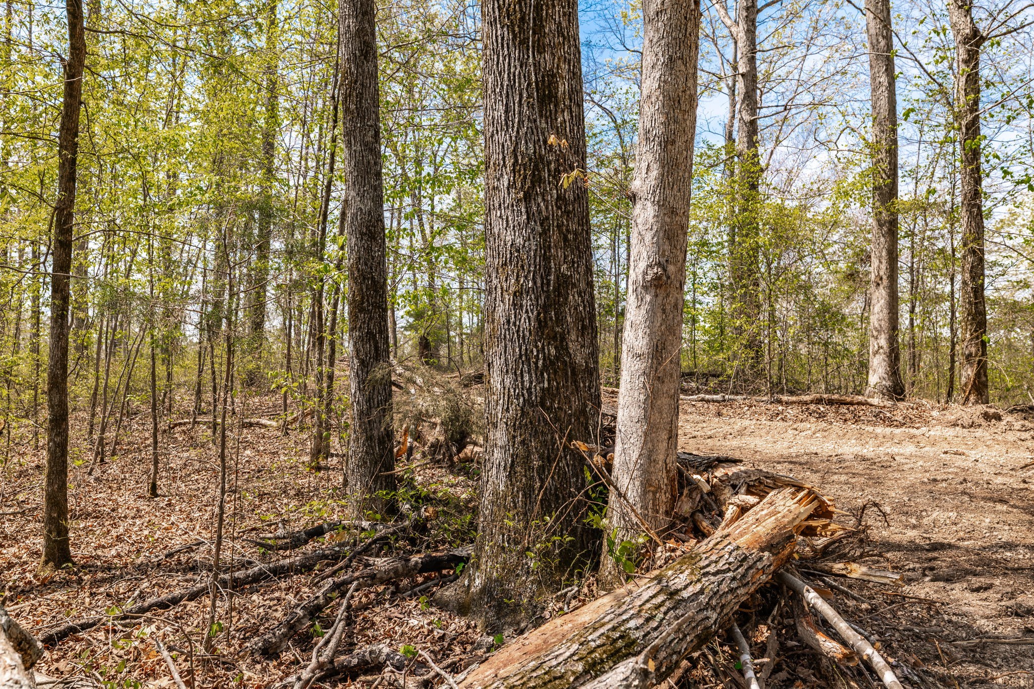 0 Mound Creek Road Kingston Springs, TN 37082 - Photo 38 of 97