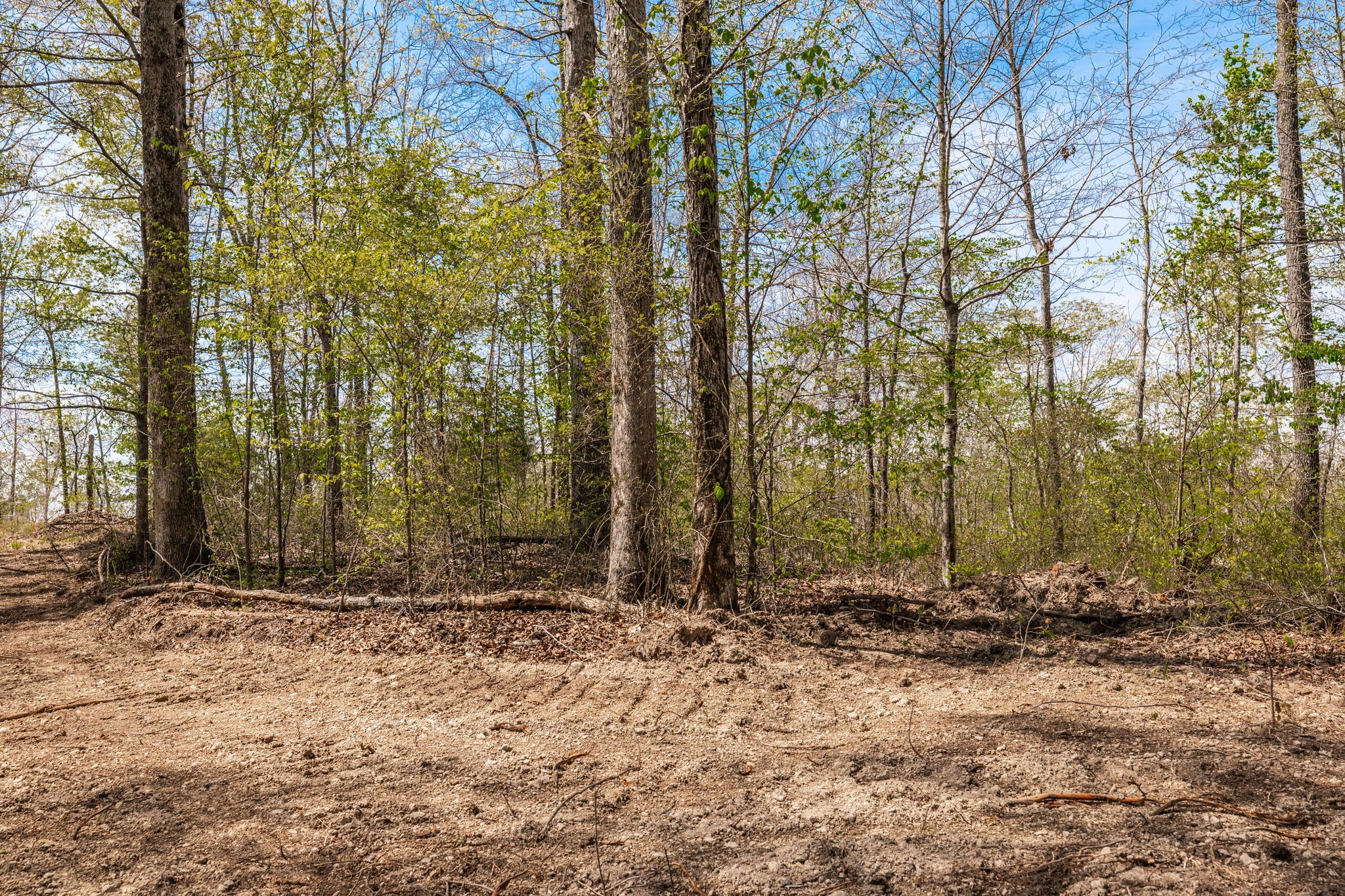 0 Mound Creek Road Kingston Springs, TN 37082 - Photo 43 of 97