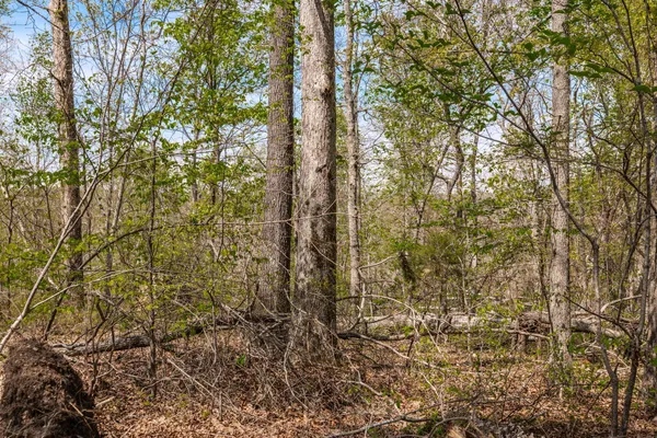 $399,900 | 0 Mound Creek Road, Kingston Springs, TN 37082