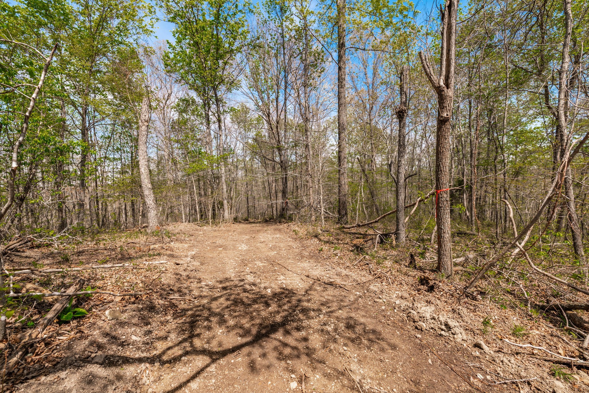 0 Mound Creek Road Kingston Springs, TN 37082 - Photo 45 of 97 a backyard of a house with lots of trees