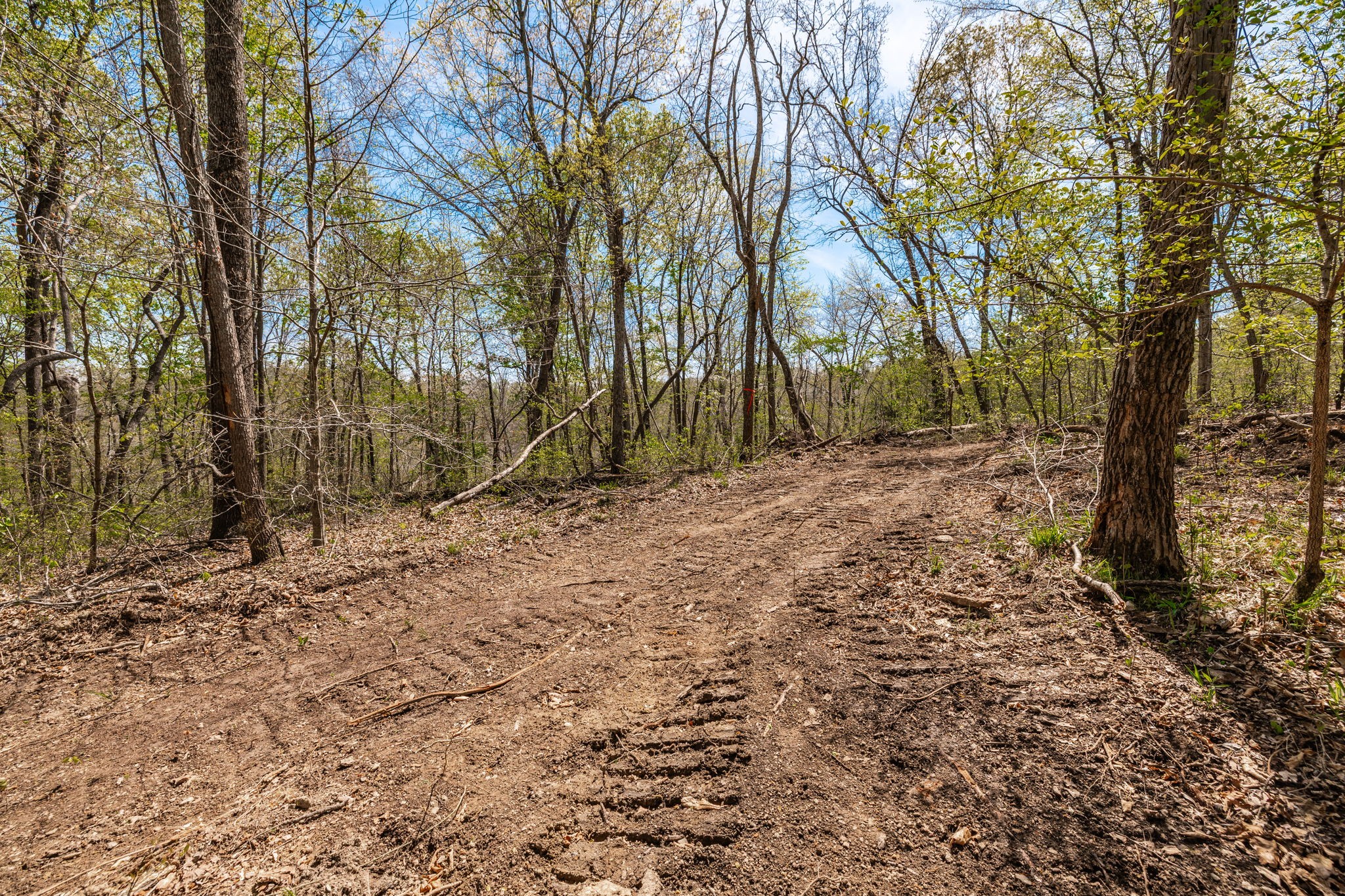 0 Mound Creek Road Kingston Springs, TN 37082 - Photo 46 of 97