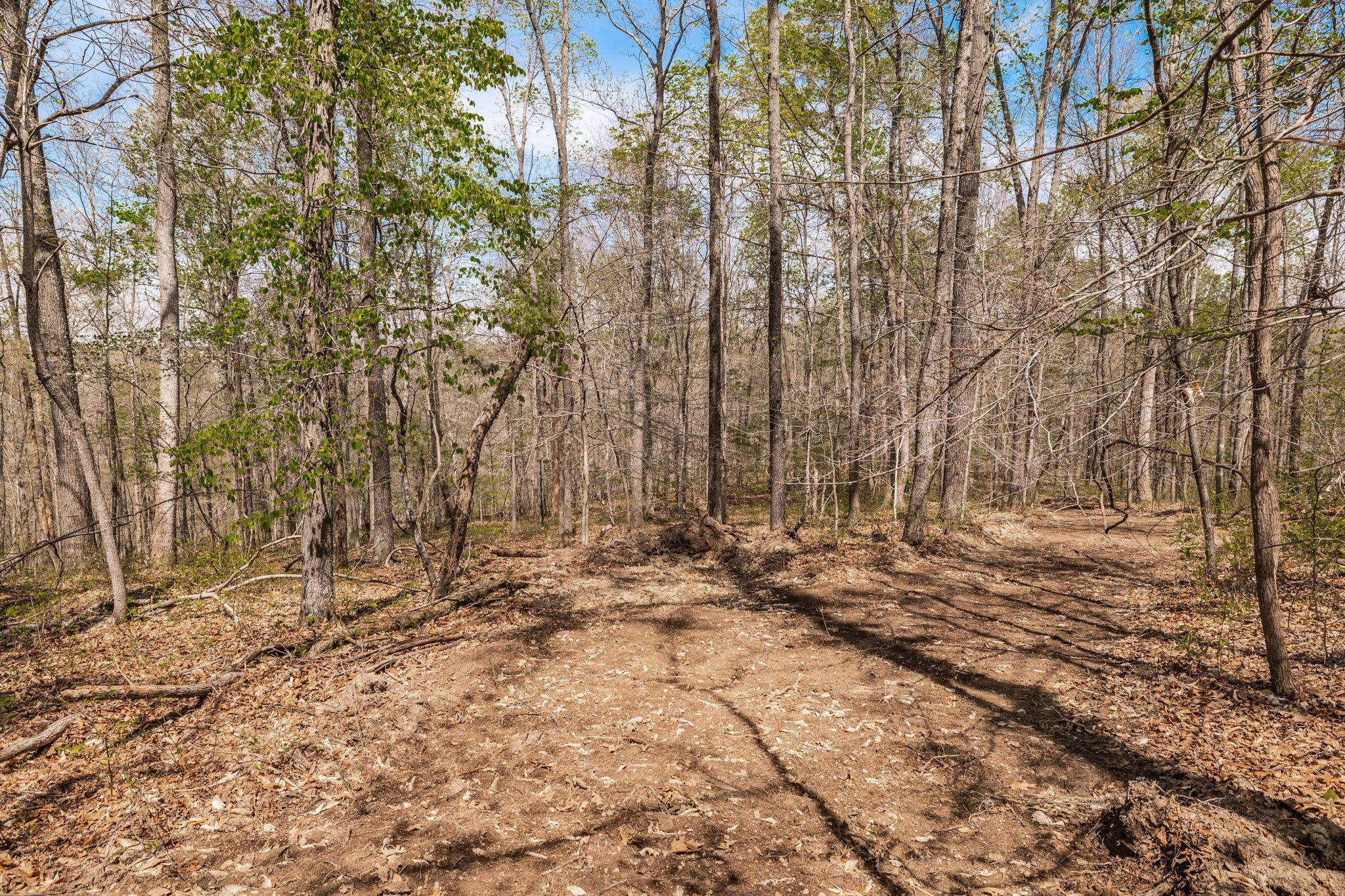 0 Mound Creek Road Kingston Springs, TN 37082 - Photo 49 of 97 a view of a yard with trees