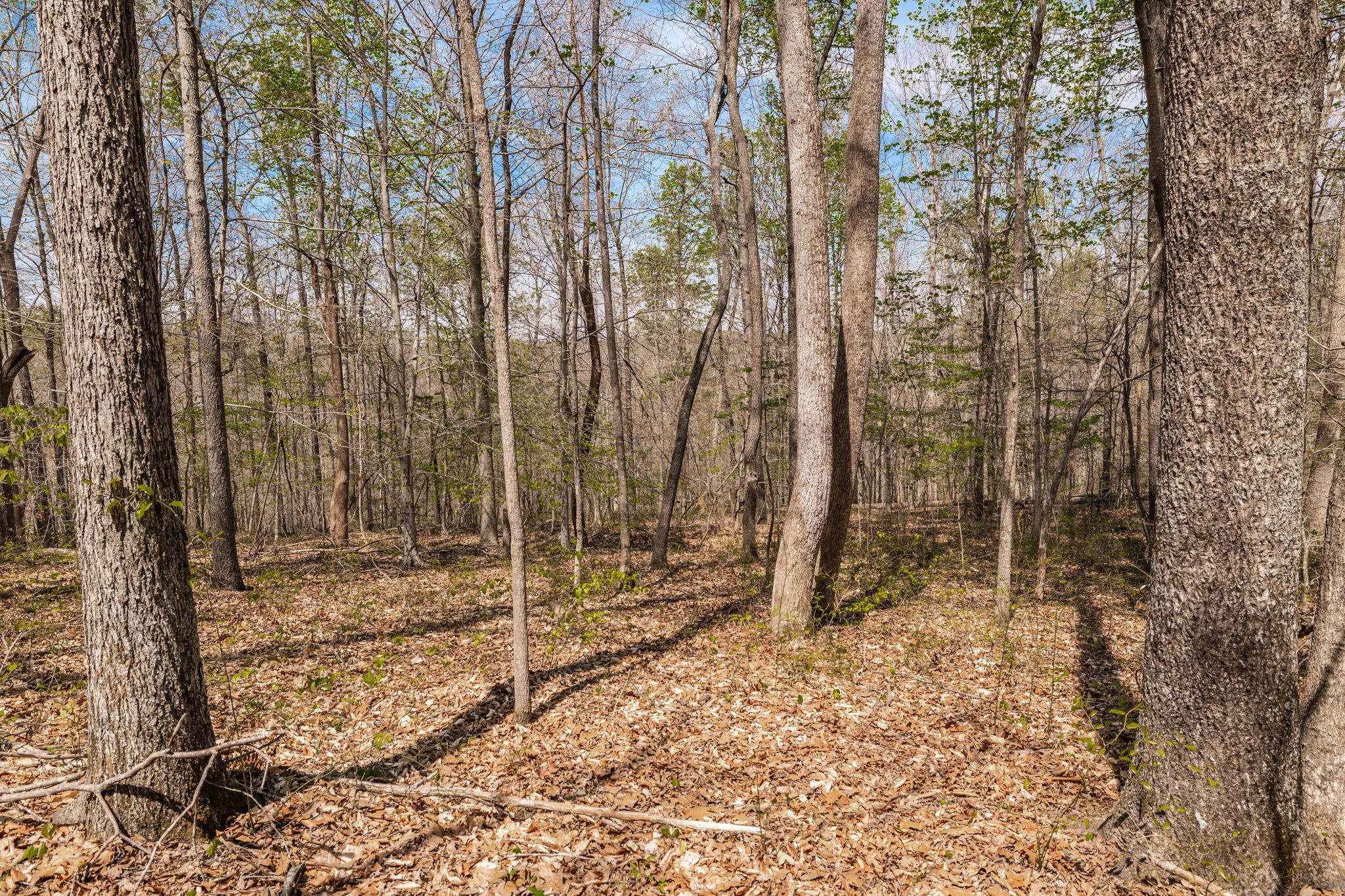 0 Mound Creek Road Kingston Springs, TN 37082 - Photo 50 of 97 a backyard of a house with lots of green space