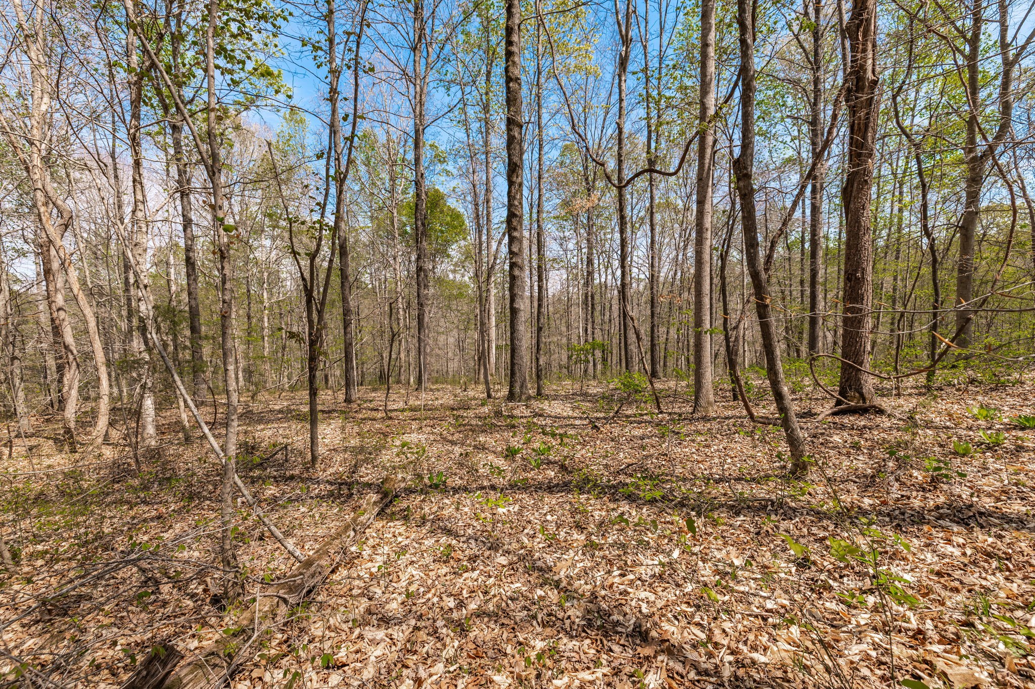0 Mound Creek Road Kingston Springs, TN 37082 - Photo 51 of 97