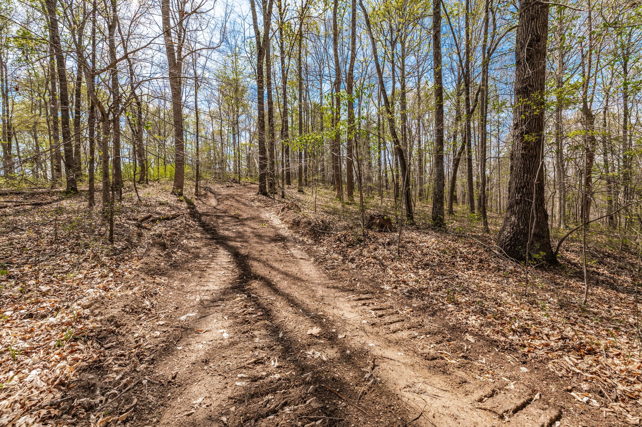 0 Mound Creek Road Kingston Springs, TN 37082 - Photo 52 of 97