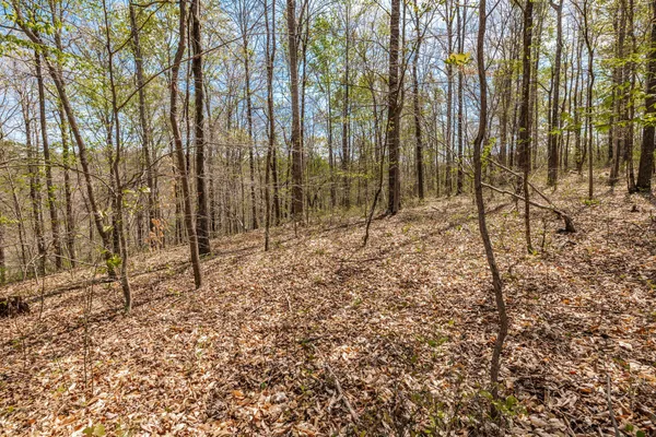 $399,900 | 0 Mound Creek Road, Kingston Springs, TN 37082
