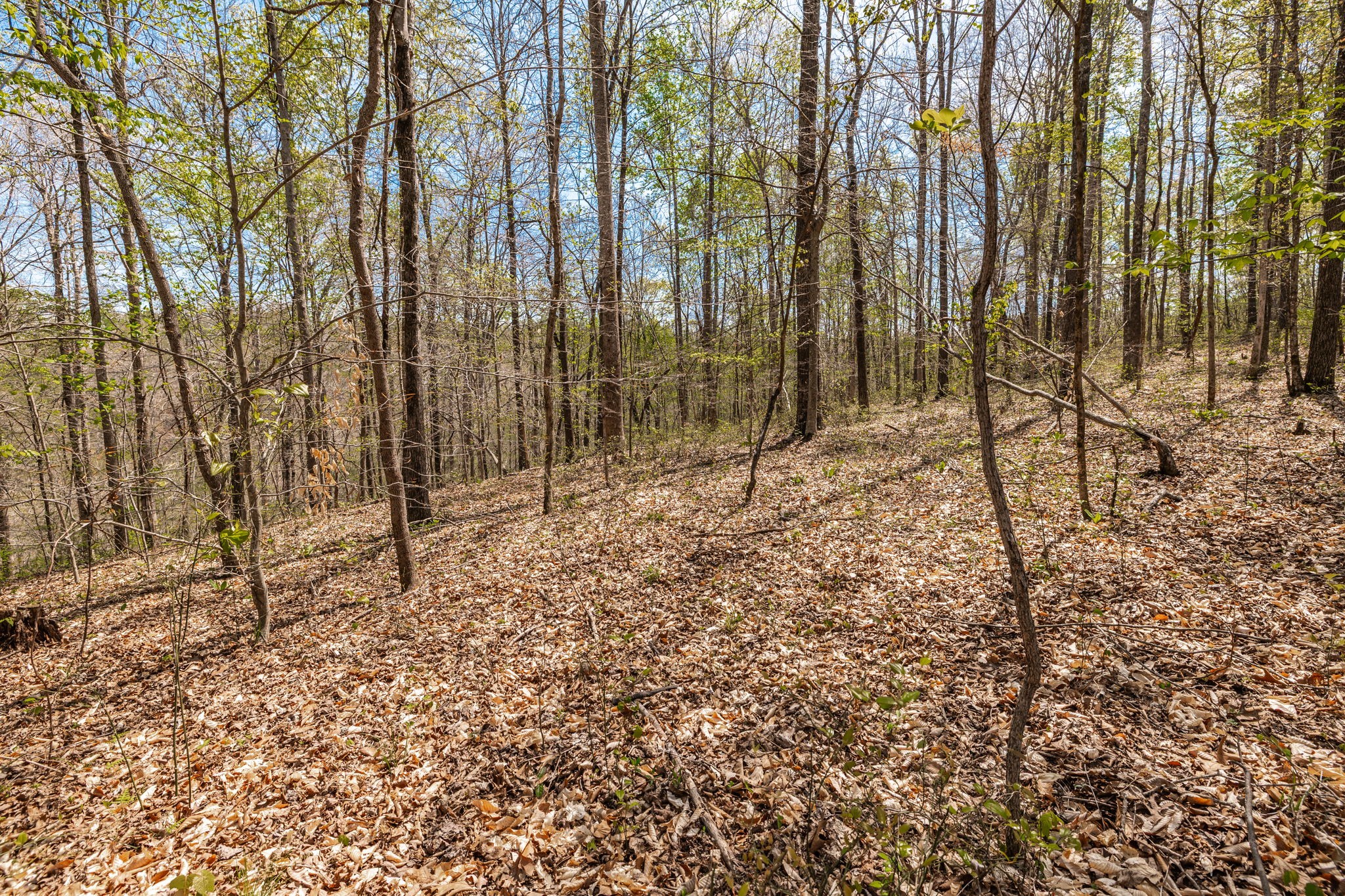 0 Mound Creek Road Kingston Springs, TN 37082 - Photo 54 of 97