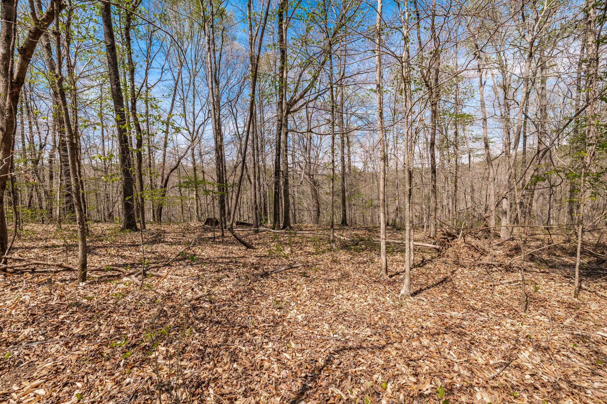 0 Mound Creek Road Kingston Springs, TN 37082 - Photo 55 of 97 a backyard of a house with lots of green space