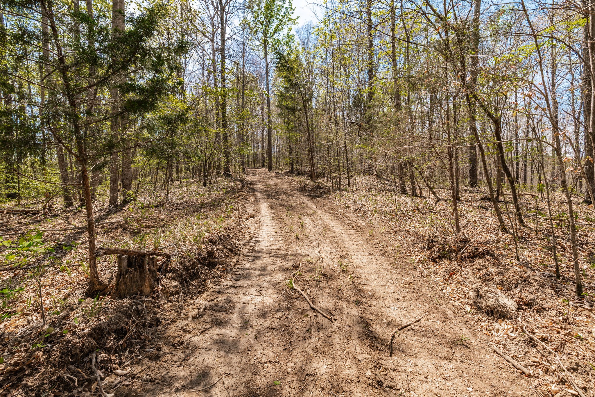0 Mound Creek Road Kingston Springs, TN 37082 - Photo 56 of 97
