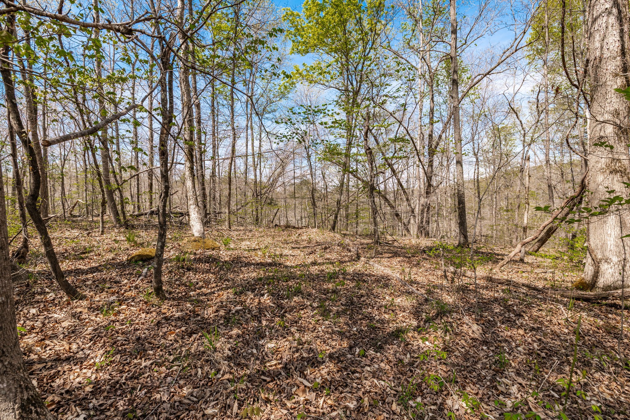 0 Mound Creek Road Kingston Springs, TN 37082 - Photo 57 of 97 a backyard of a house with lots of green space