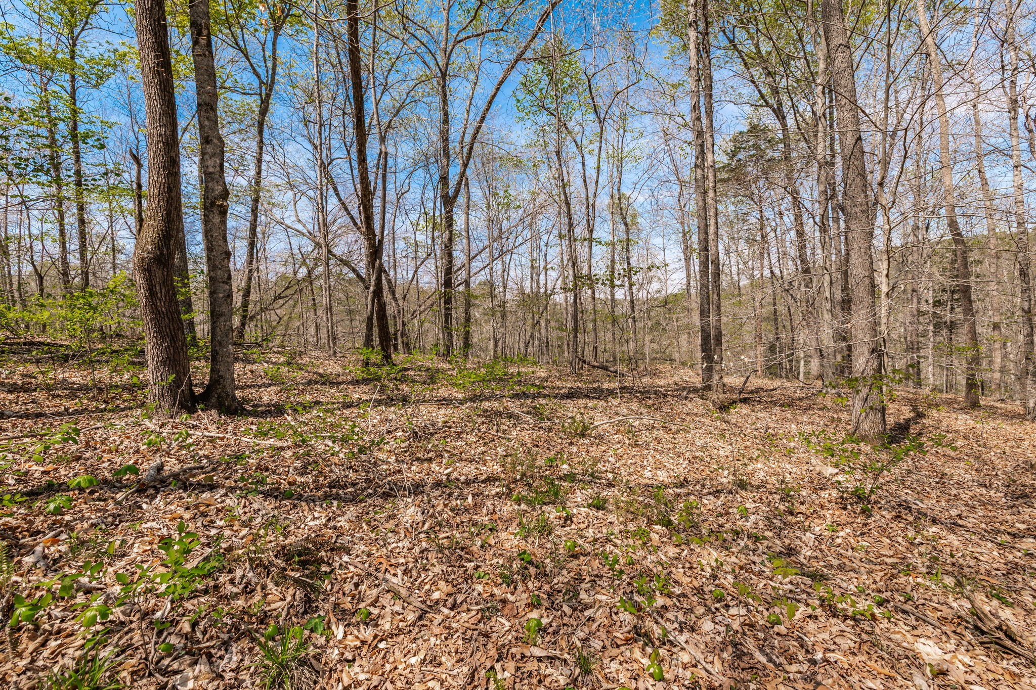 0 Mound Creek Road Kingston Springs, TN 37082 - Photo 58 of 97 a backyard of a house with lots of green space