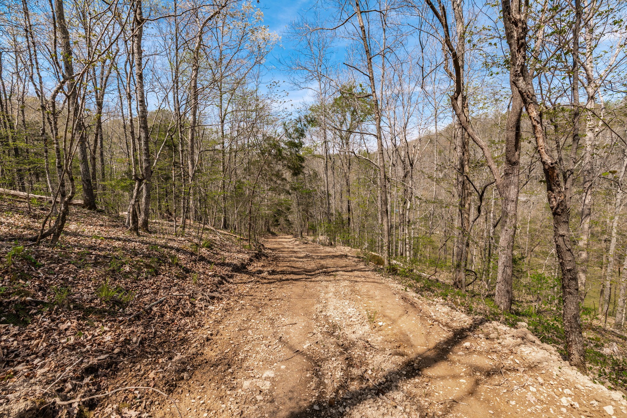 0 Mound Creek Road Kingston Springs, TN 37082 - Photo 60 of 97