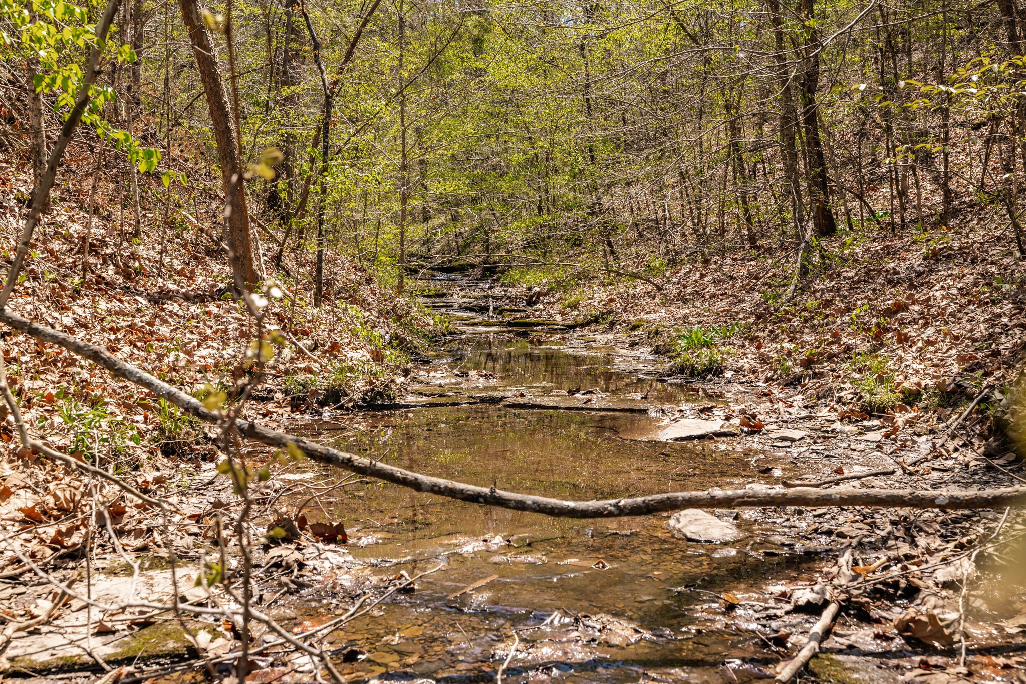 0 Mound Creek Road Kingston Springs, TN 37082 - Photo 62 of 97