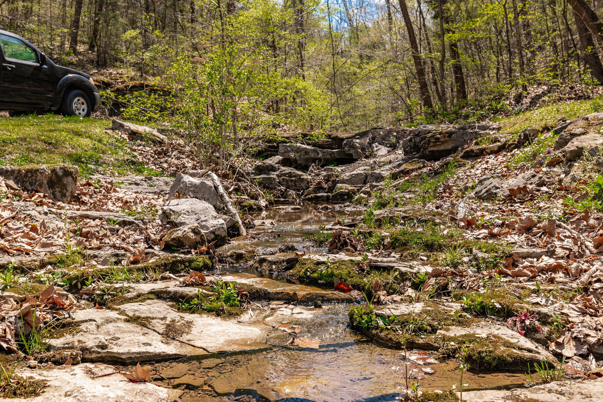 0 Mound Creek Road Kingston Springs, TN 37082 - Photo 65 of 97