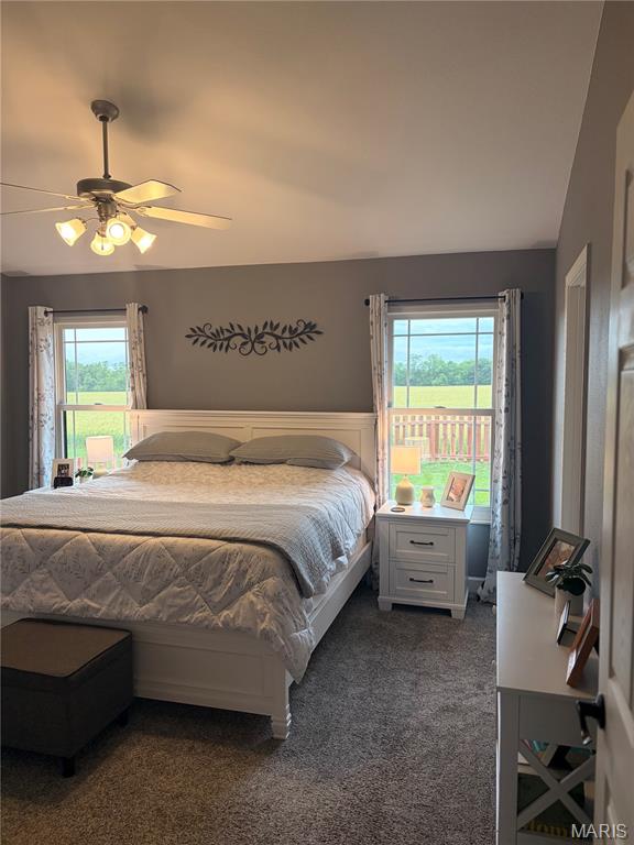535 Shamrock Drive Waterloo, IL 62298 - Photo 25 of 39