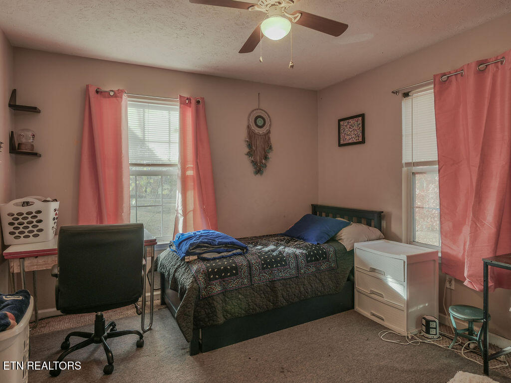 369 County Road 784 Etowah, TN 37331 - Photo 12 of 22 P1080385