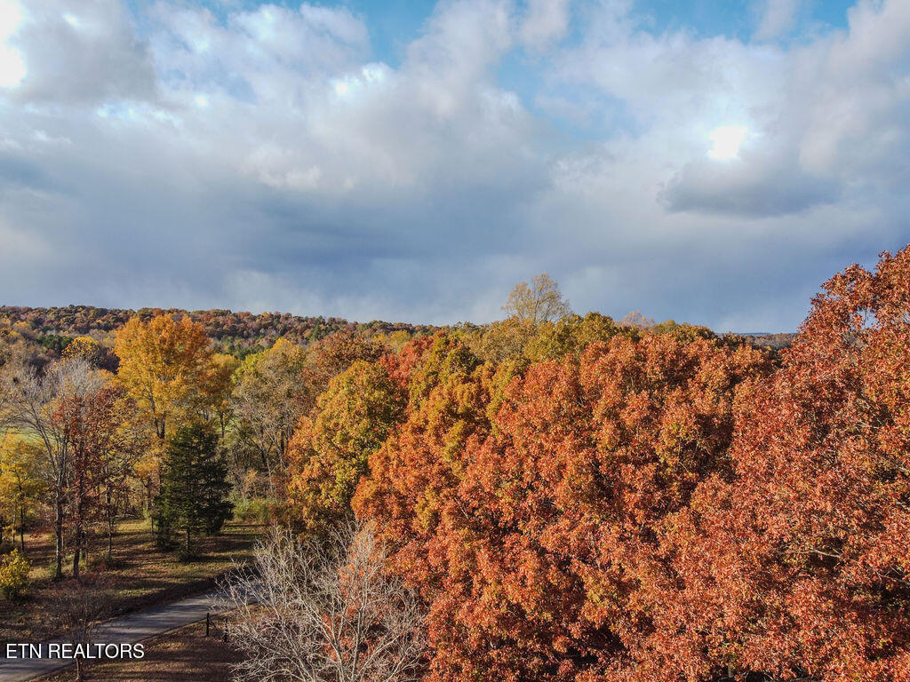 369 County Road 784 Etowah, TN 37331 - Photo 21 of 22 DJI_0712