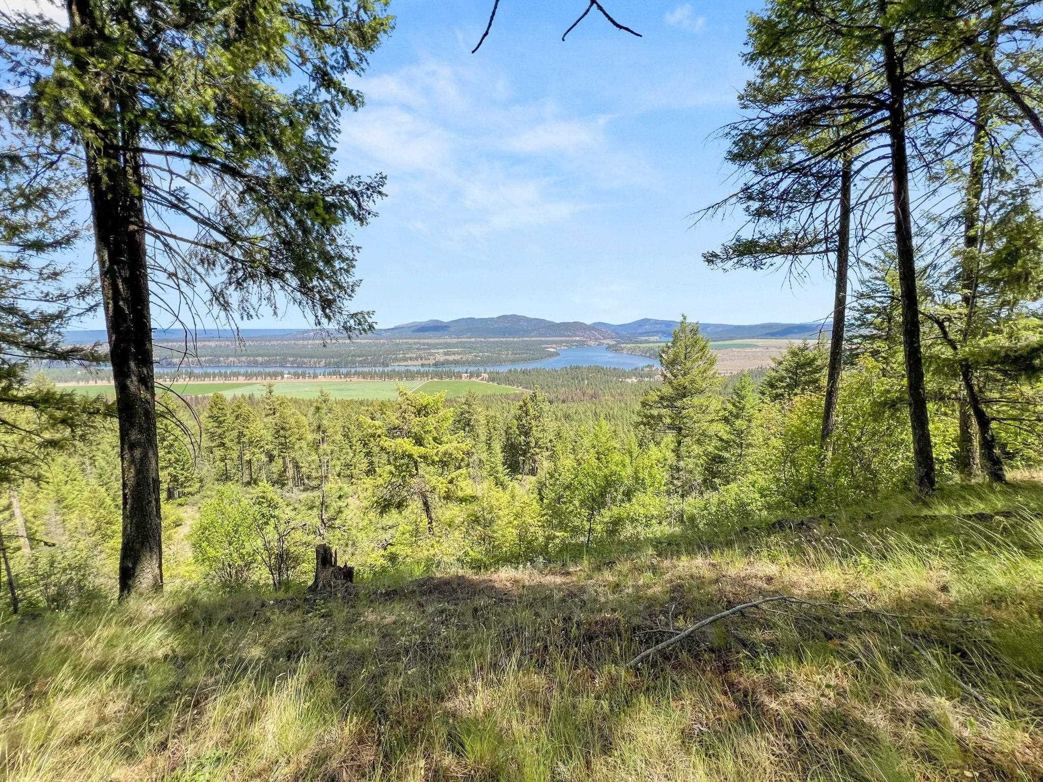 0 West Highland Road Ford, WA 99013 - Photo 23 of 41