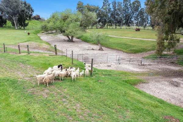 $1,275,000 | 35427 Ave 14, Madera, CA 93636