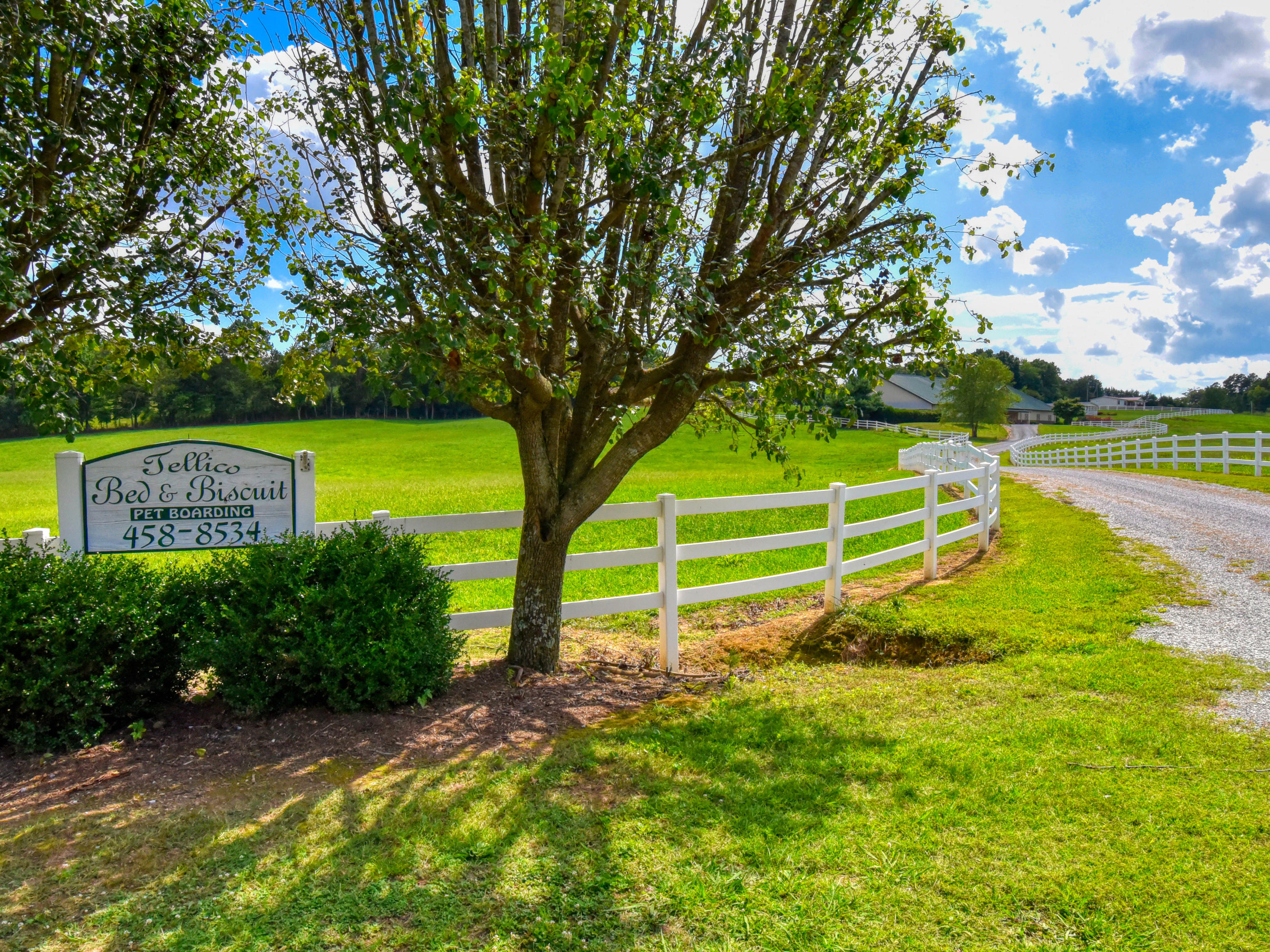 13500 Vonore Road Loudon, TN 37774 - Photo 2 of 40 13500 Vonore