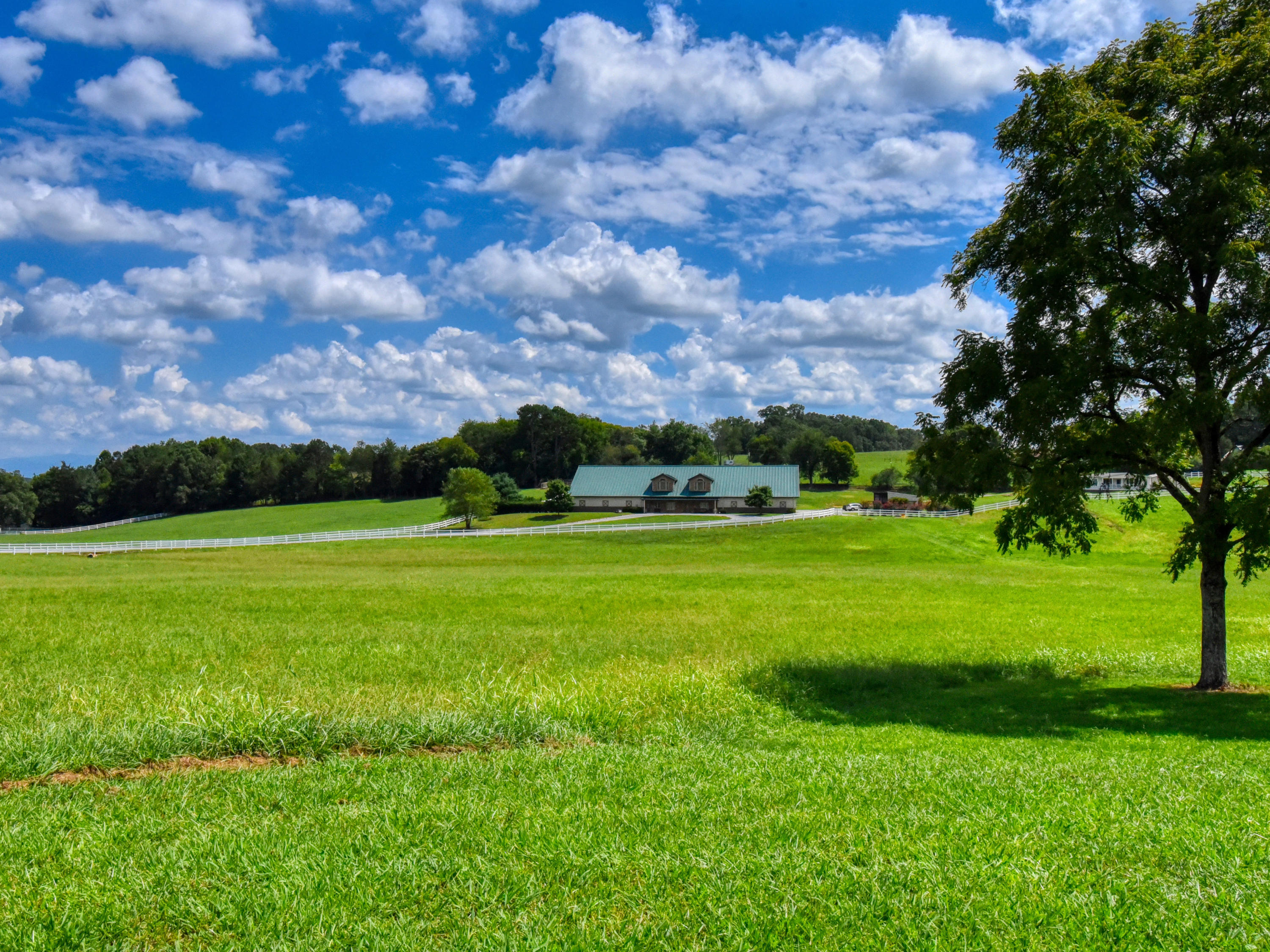 13500 Vonore Road Loudon, TN 37774 - Photo 4 of 40 13500 Vonore