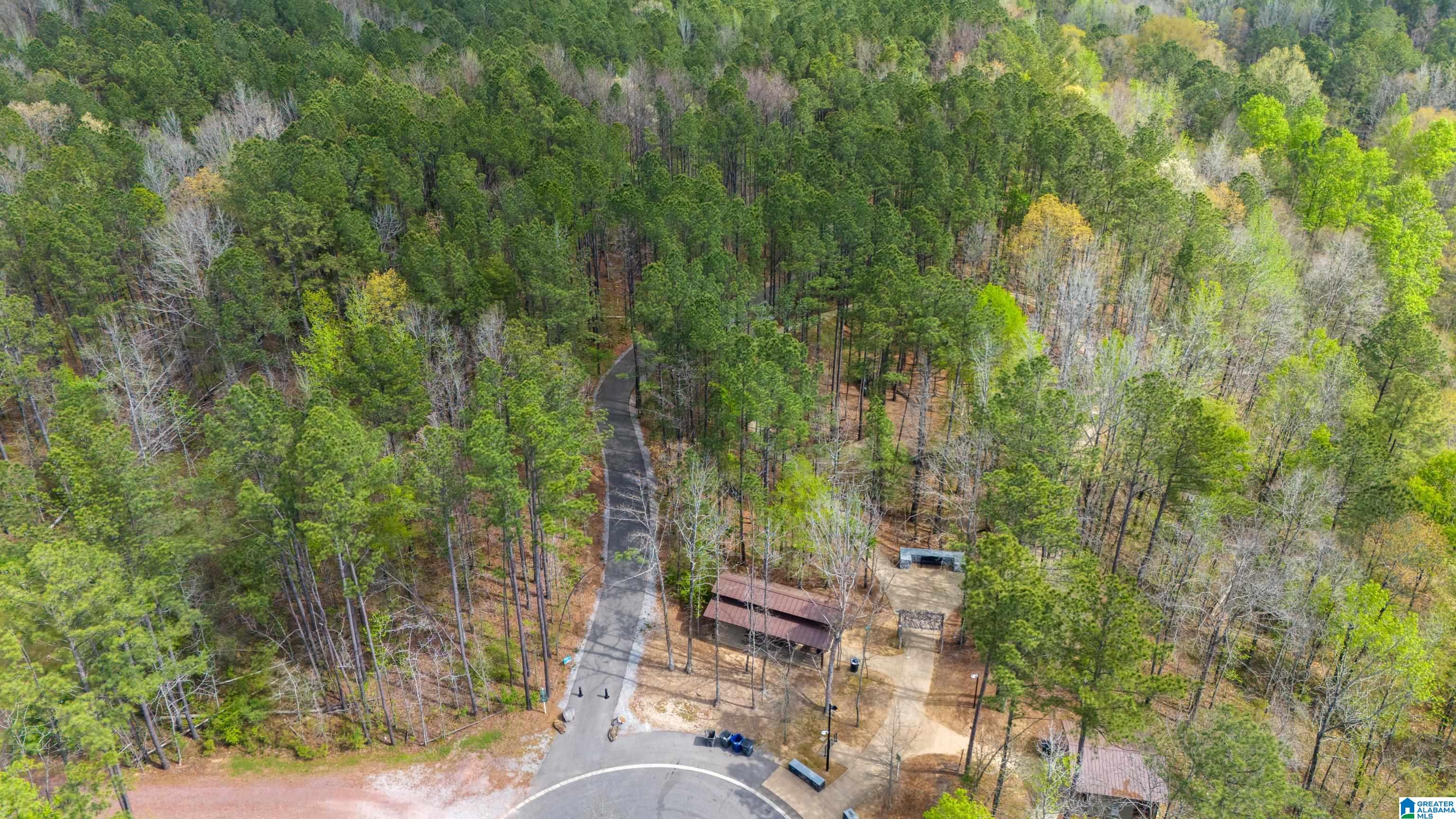 285 Appleford Road Helena, AL 35080 - Photo 46 of 49