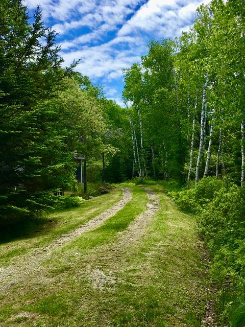 78 Pollys Cove Road Vinalhaven, ME 04863 - Photo 29 of 29 Driveway vertical