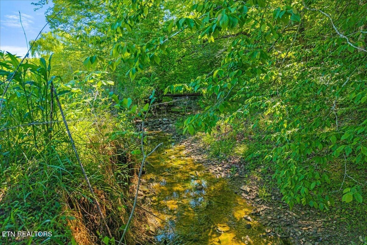 0 Shaddon Road Tellico Plains, TN 37385 - Photo 6 of 17 a view of a lush green forest