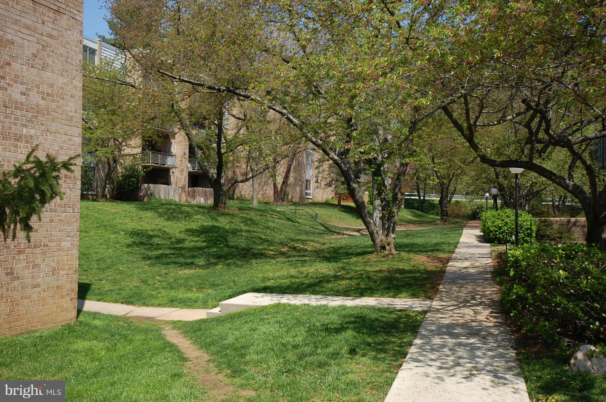 3932 Bel Pre Road, Unit 2 Silver Spring, MD 20906 - Photo 7 of 16 a view of a yard with plants and a large tree