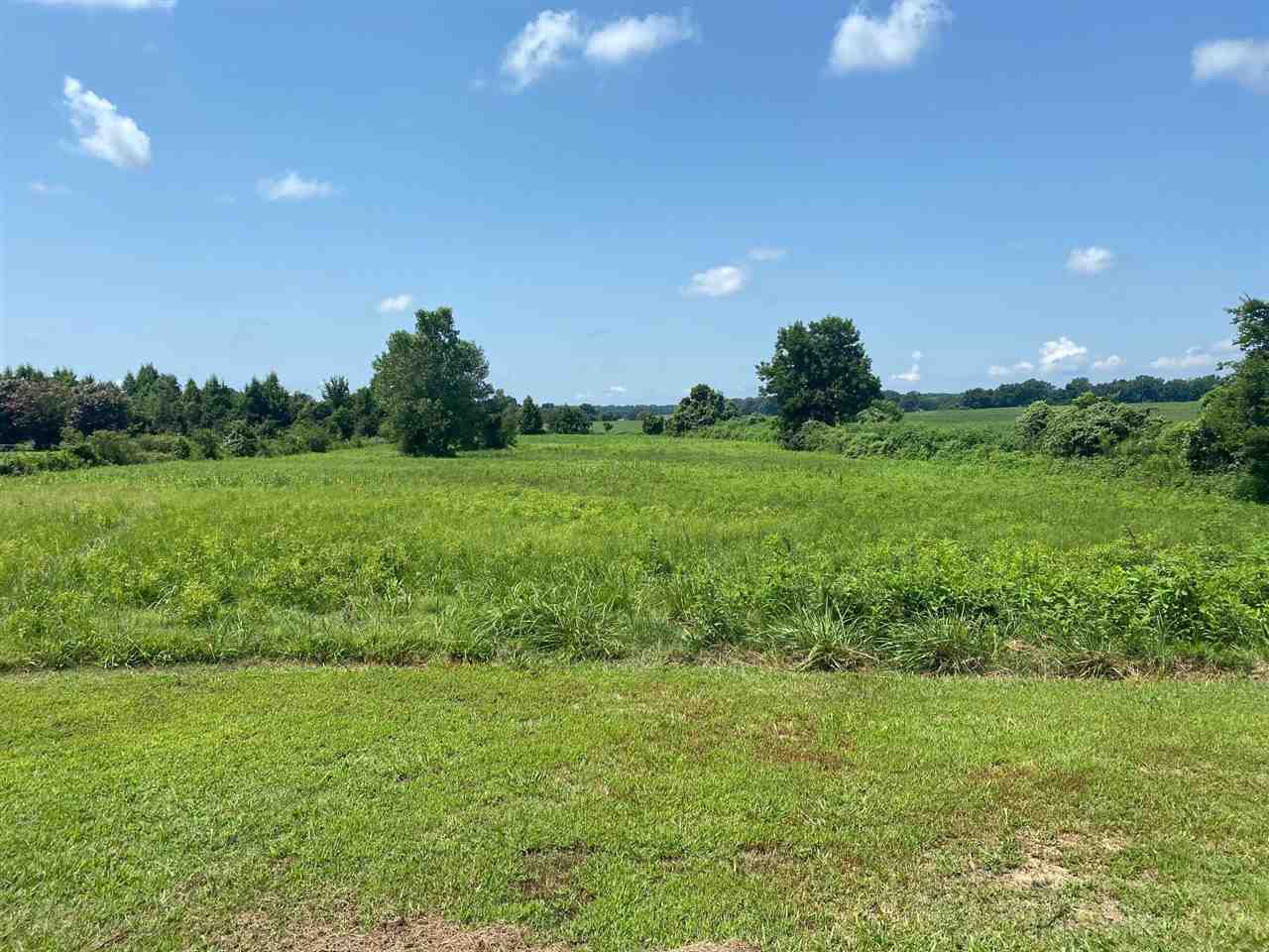 1061 Ungerecht Road Ripley, TN 38063 - Photo 2 of 4