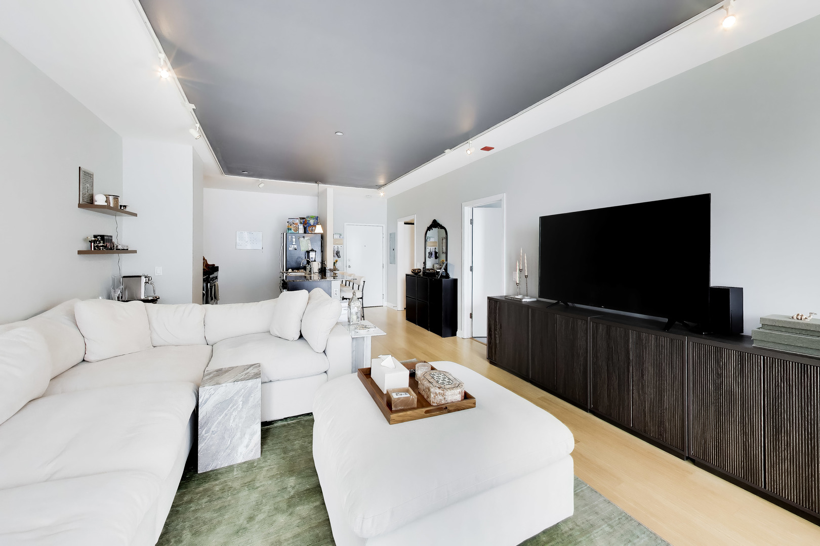 8 East Randolph Street, Unit 1602 Chicago, IL 60601 - Photo 9 of 35
