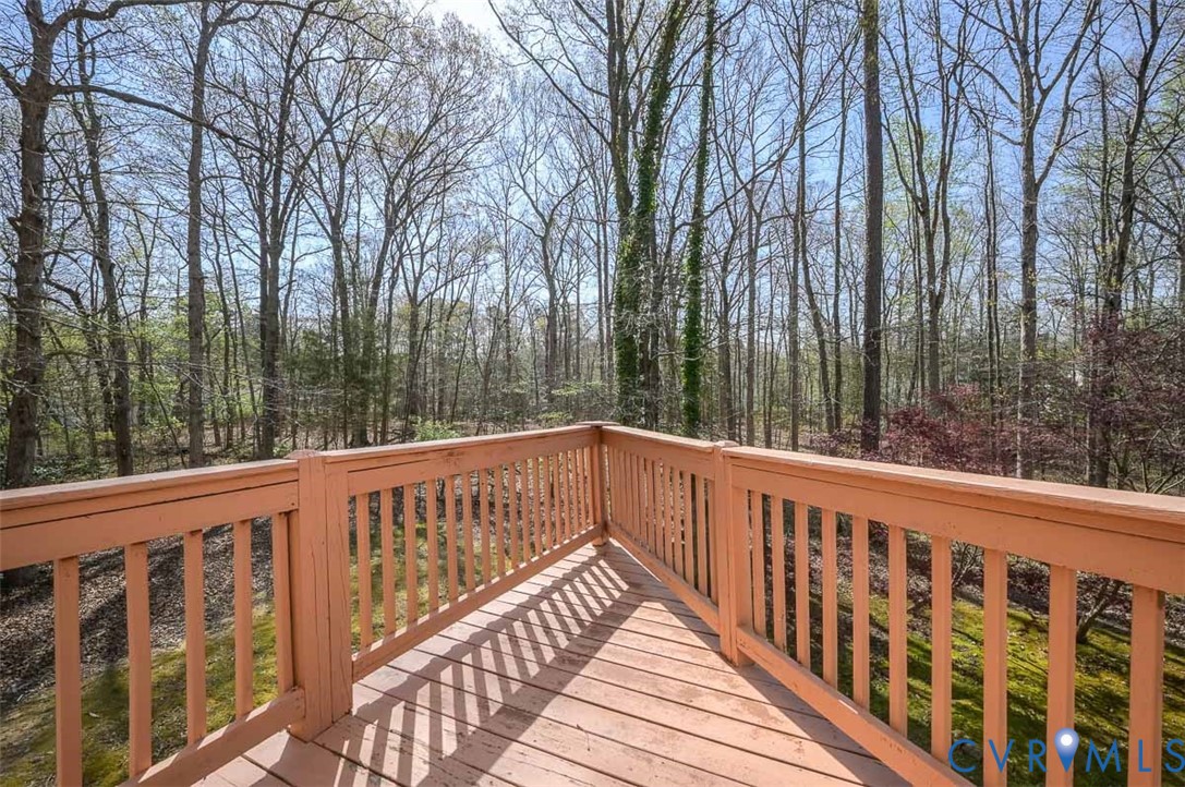 13124 Old Happy Hill Road Chester, VA 23831 - Photo 29 of 64 Private deck with views of the woods.