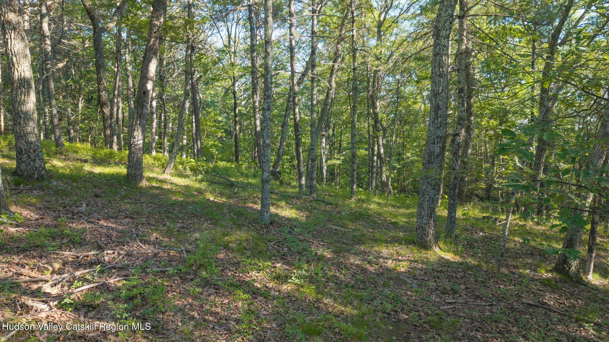 Tbd-2 Mt Airy Road Saugerties, NY 12477 - Photo 11 of 15 Land 1