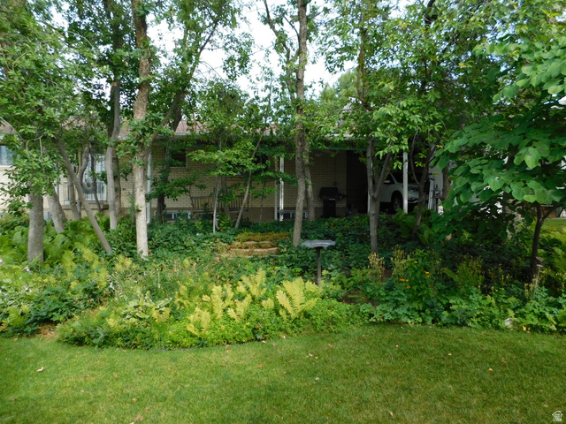 2148 Carolyn Way Bountiful, UT 84010 - Photo 35 of 40 Lush, mature trees border a verdant lawn, creating a private outdoor setting