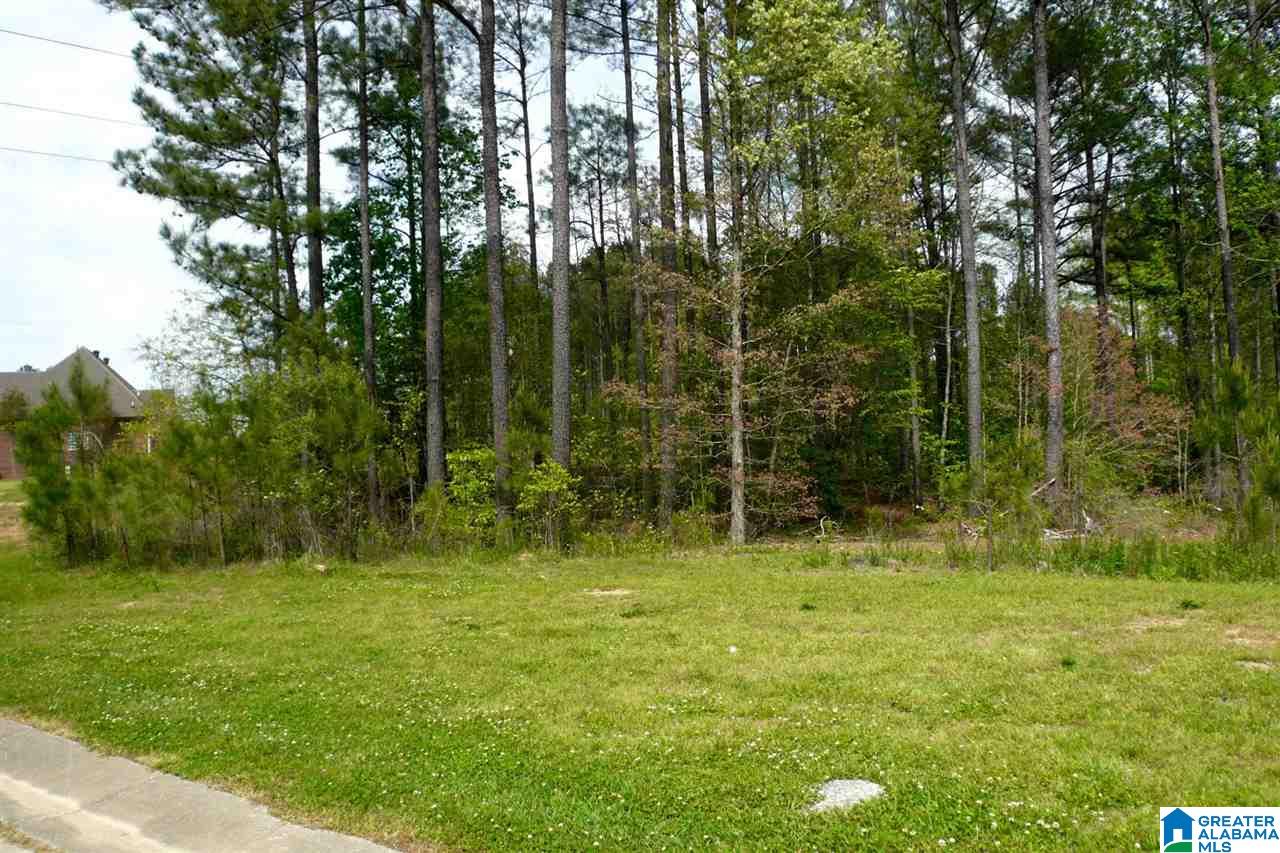 522 Woodbridge Trace, Unit 55 Chelsea, AL 35043 - Photo 1 of 22