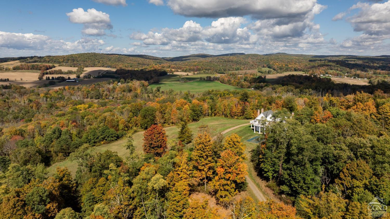 255 Mill Hill Road Gallatin, NY 12567 - Photo 24 of 29 a view of lake