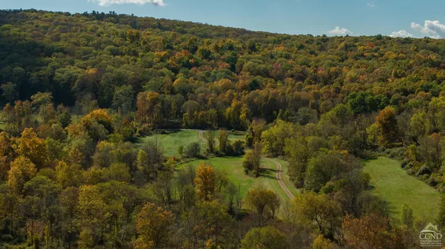 a view of a yard with trees