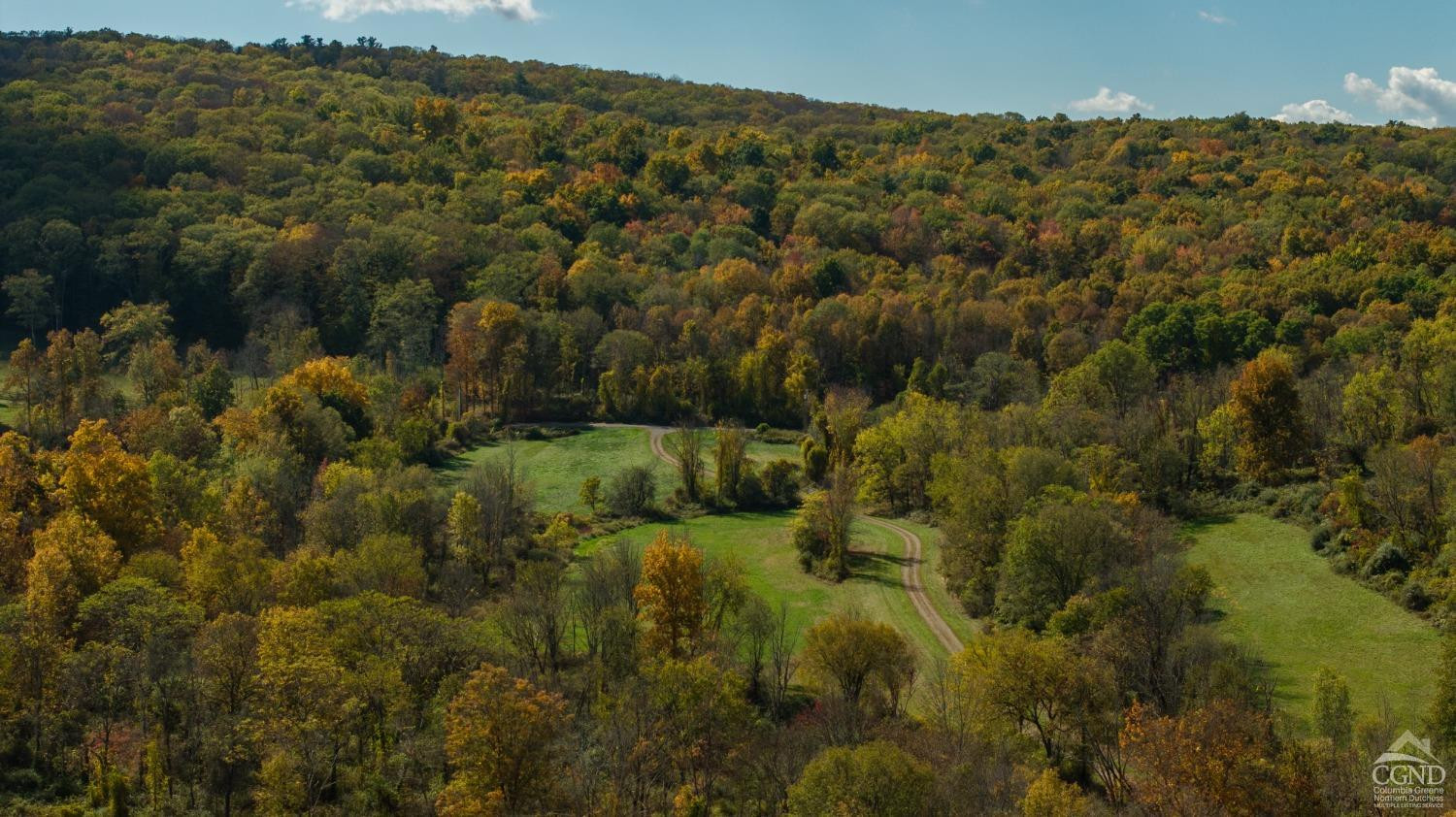 255 Mill Hill Road Gallatin, NY 12567 - Photo 25 of 29 a view of a forest with a lush green forest