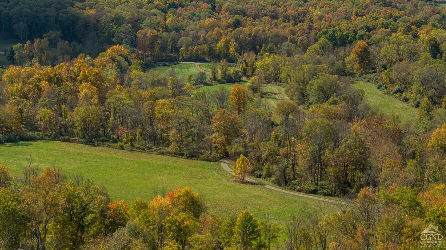 255 Mill Hill Road Gallatin, NY 12567 - Photo 26 of 29 a view of a yard