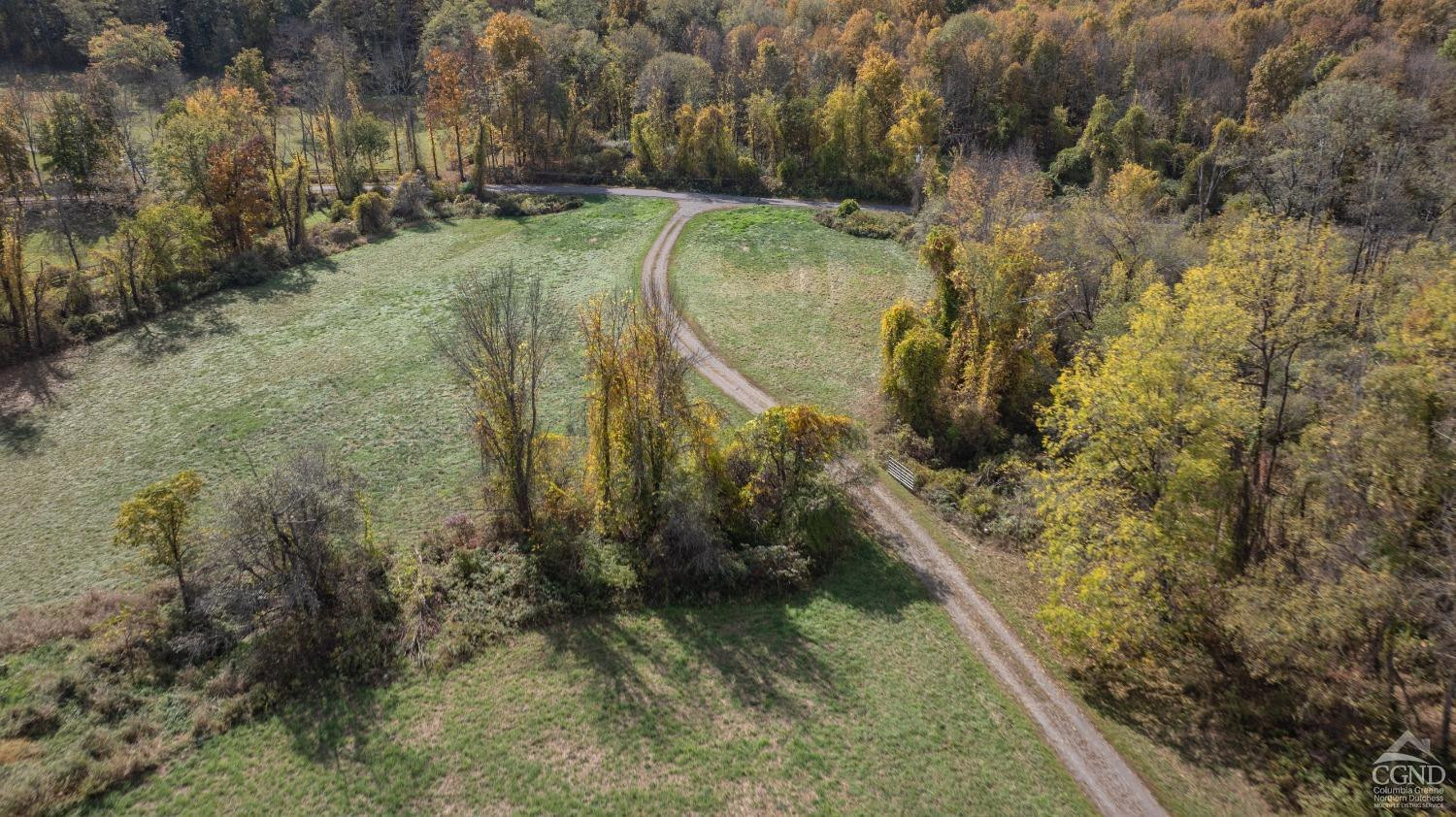 255 Mill Hill Road Gallatin, NY 12567 - Photo 27 of 29 a view of a yard with trees