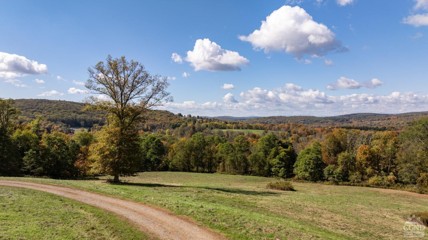 255 Mill Hill Road Gallatin, NY 12567 - Photo 28 of 29 a view of a golf course with a tree