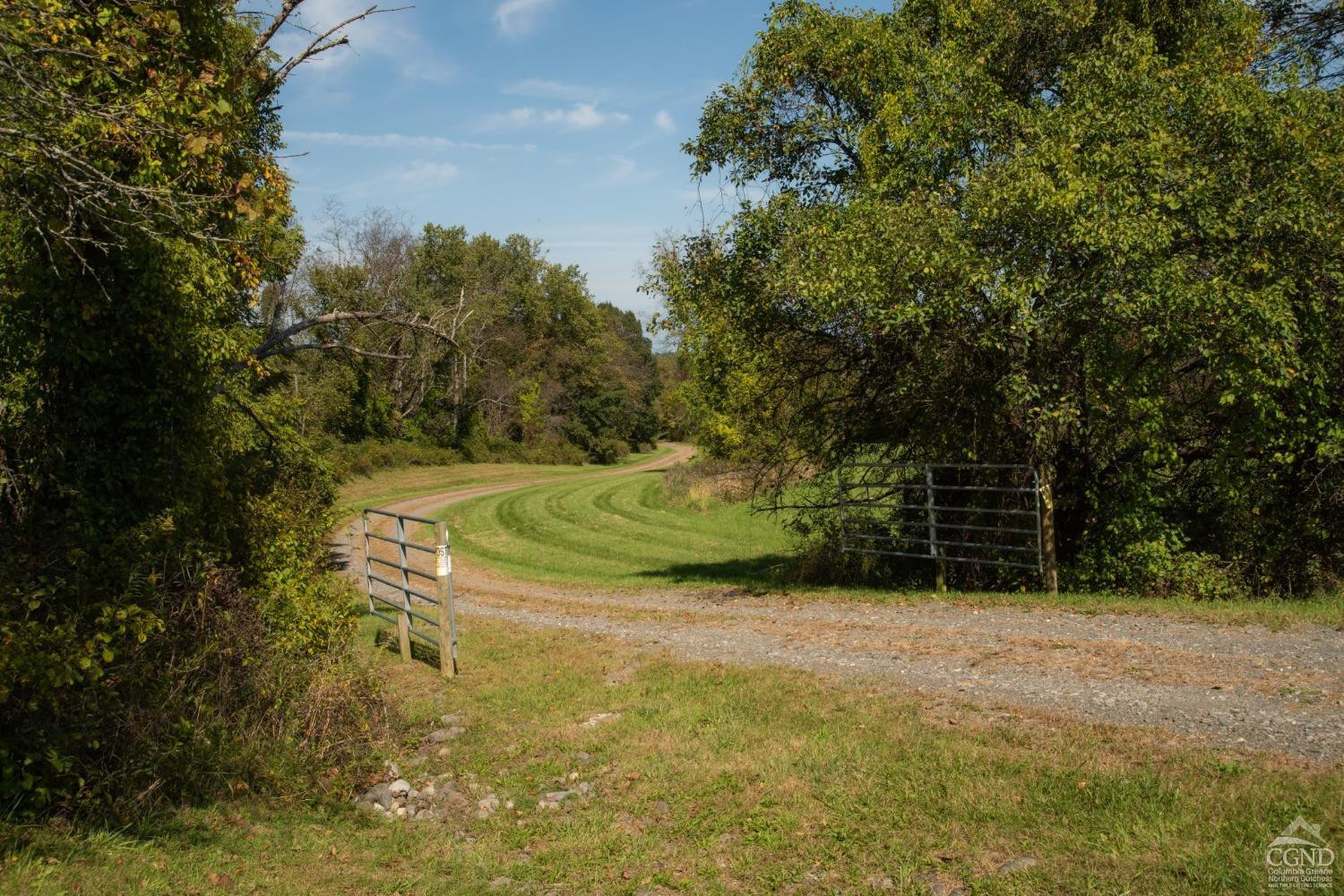255 Mill Hill Road Gallatin, NY 12567 - Photo 29 of 29 a view of a backyard