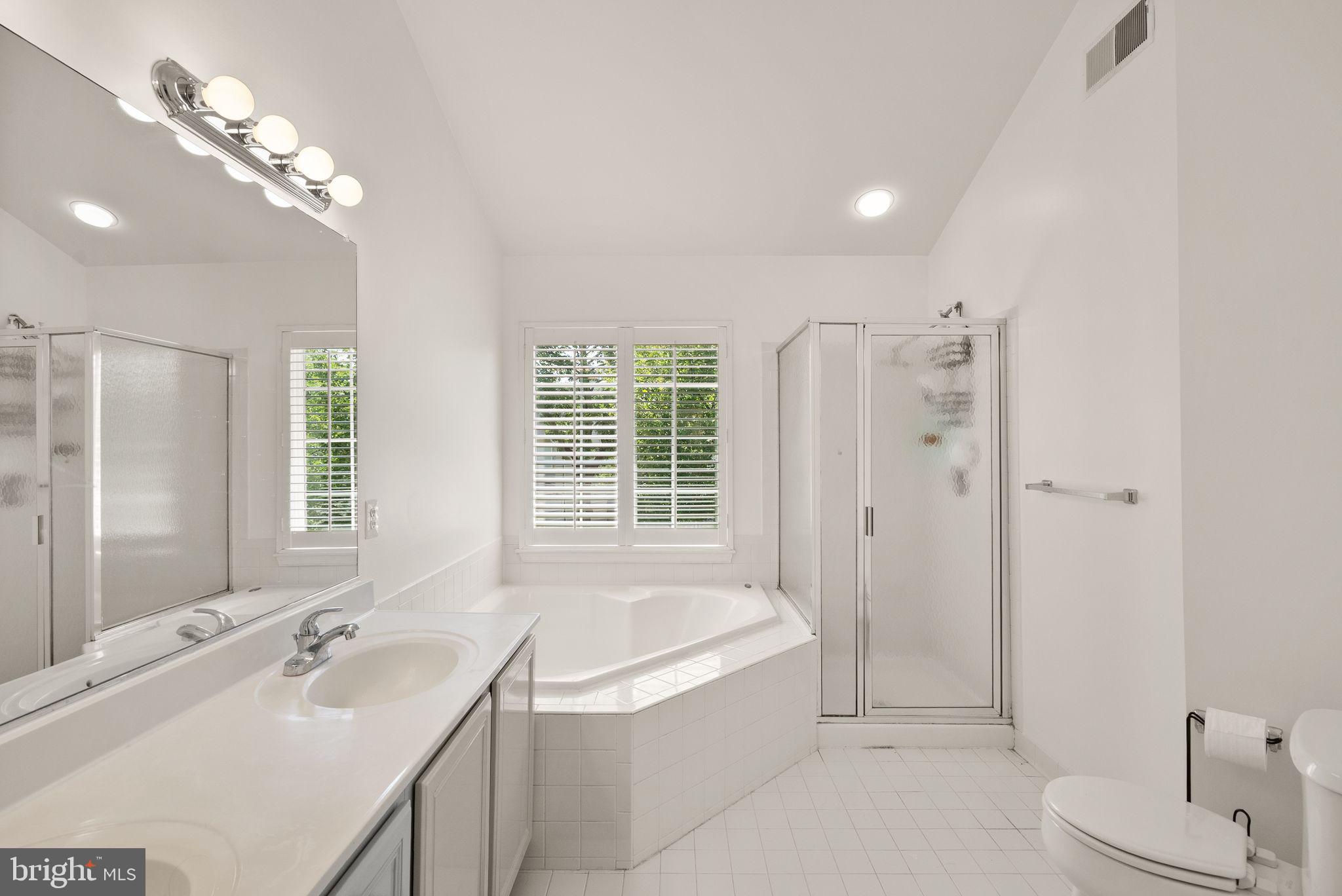 43111 Center Street Chantilly, VA 20152 - Photo 26 of 53 Primary Bathroom